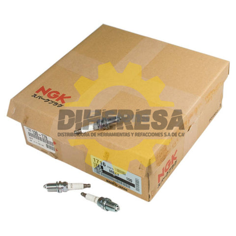 130-178 Spark Plug Shop Paquete