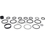 Atlantic Quality Parts 1401-1347 Kit de sello de cilindro hidráulico