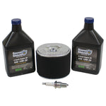 Stens 785-656 Kit de mantenimiento del motor